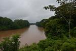 WCS facilitará la gestión de un proyecto de conservación en la cuenca del río Putumayo-Içá por un valor de 12,84 millones de dólares