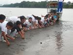 Más de 150 tortugas charapas fueron liberadas en la Amazonía ecuatoriana
