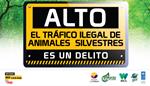 ALTO: el tráfico ilegal de animales silvestres es un delito. Si te llevas uno, no quedará ninguno