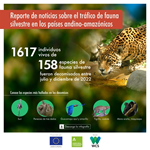 1617 animales vivos fueron decomisados en Colombia, Ecuador, Perú, Bolivia y Brasil en el segundo semestre de 2022
