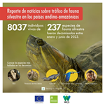  Más de 8 mil especímenes decomisados y 129 arrestos en cinco países,  presenta el monitoreo semestral de noticias sobre tráfico de fauna silvestre realizado por WCS en Andes-Amazonía