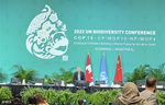 CoP 15 | El Marco Mundial para la Biodiversidad de Kunming-Montreal es "el suelo, no el techo" de la acción mundial para frenar la crisis de la biodiversidad