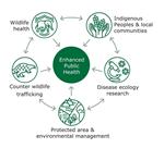 En un comentario sobre la prevención de pandemias, los científicos enfatizan: es hora de integrar eficazmente el enfoque ambiental en las acciones de salud pública y la prevención desde el origen