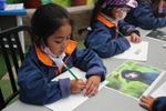 Super Alianzas por la Vida Silvestre, un evento dedicado a niños y niñas