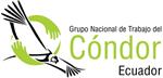 El Día Nacional del Cóndor Andino se conmemora desde hace 25 años en Ecuador