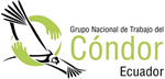 Ecuador lamenta el hallazgo de un cóndor andino muerto en la provincia de Imbabura