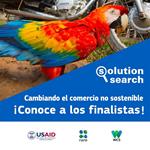 Solution Search anuncia los 10 finalistas de su concurso sobre cambio de comportamiento y tráfico de vida silvestre