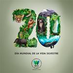 WCS Ecuador celebró el Día Mundial de la Vida Silvestre con varias actividades