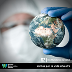 Declaración de WCS: Día Mundial de la Salud 2022 - Nuestro planeta, nuestra salud