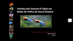 Personal técnico de agencias de gobierno de América Latina fortalece sus capacidades en inteligencia para combatir el comercio ilegal de vida silvestre