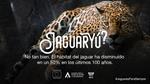 “Jaguaryú”, una campaña de WCS para sensibilizar sobre la importancia del felino más grande de América
