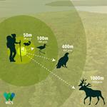 Por qué mantener la distancia social con la vida silvestre