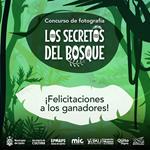 Concurso Fotográfico “Los Secretos del Bosque” tiene ya sus ganadores